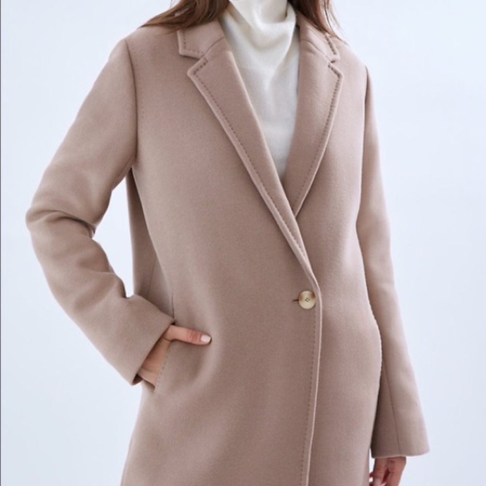 Aritzia Babaton Stedman coat